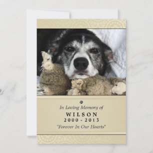 Pet Memorial Card 5"x7" Creme Modern - Male Pet