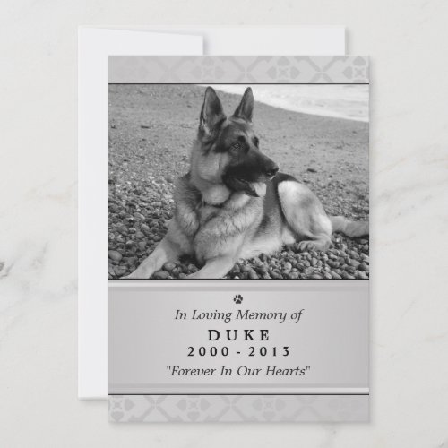 Pet Memorial Card 5x7 Gray Modern _ Male Pet