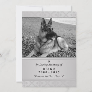 Pet Memorial Card 5"x7" Gray Modern Photo