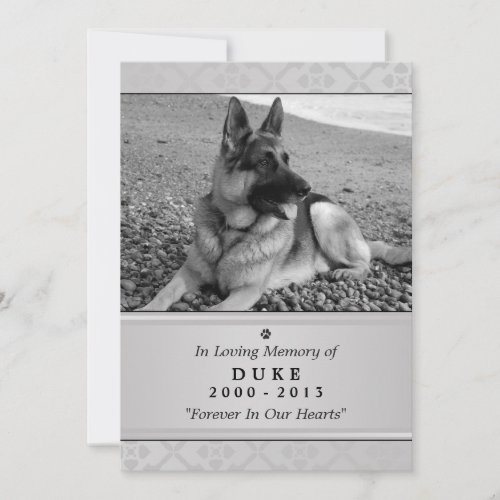 Pet Memorial Card 5x7 Gray Modern Photo