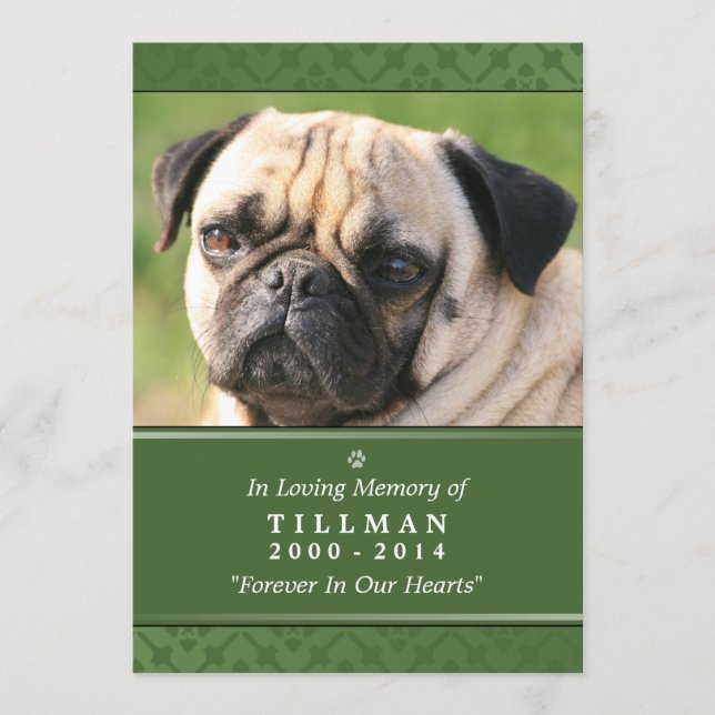 Pet Memorial Card 5"x7" Green Photo - Male Pet (Front)