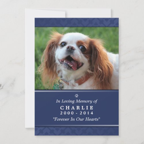 Pet Memorial Card 5x7 Navy Blue _ for Male Pet