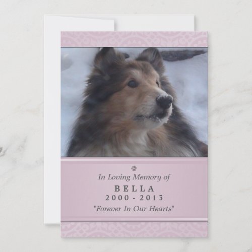 Pet Memorial Card 5x7 Pink Modern _ Female Pet