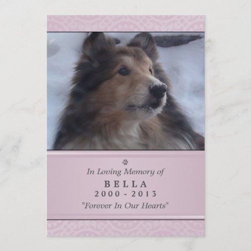 Pet Memorial Card 5x7 Pink Modern _ Female Pet