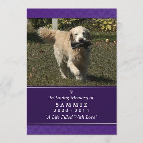 Pet Memorial Card 5x7 Purple Photo _ Male Pet