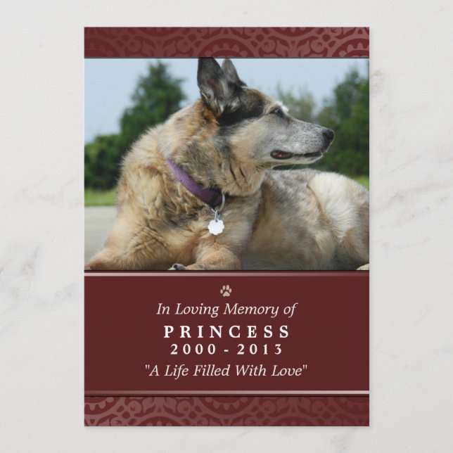 Pet Memorial Card 5"x7" Rainbow Bridge (Male) (Front)