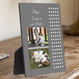 Pet memorial cat grey and white add photos plaque