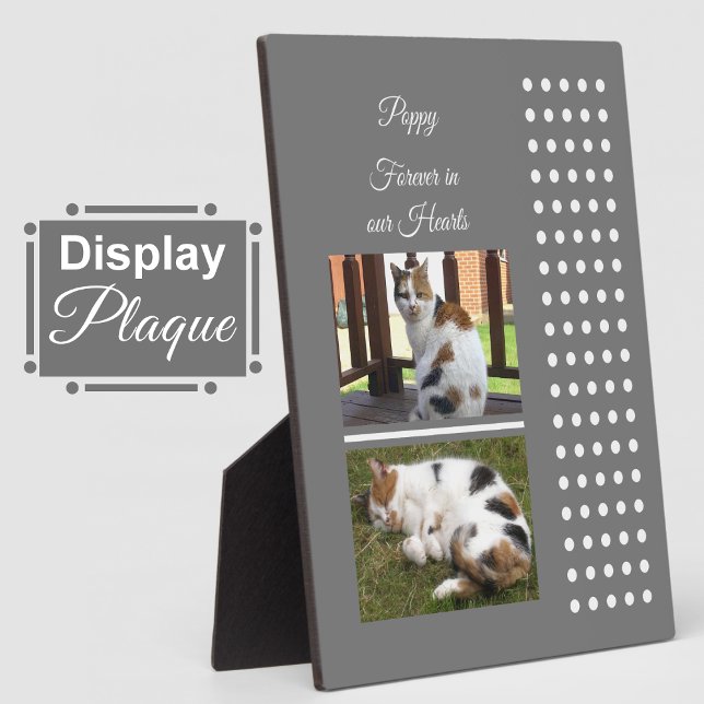 Pet memorial cat grey and white add photos plaque (Creator Uploaded)