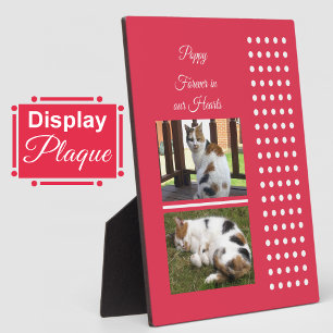 Pet memorial cat red and white add photos plaque