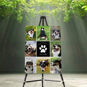 Pet Memorial Custom Dog 8 Photo Collage Foam Board