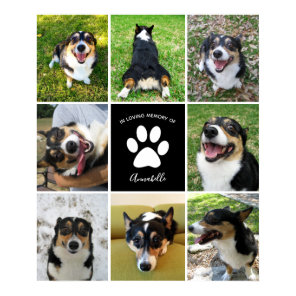 Pet Memorial Custom Dog 8 Photo Collage Poster
