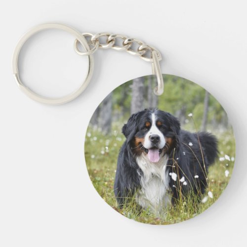 Pet Memorial Custom Dog Photo Rainbow Pet Loss Keychain