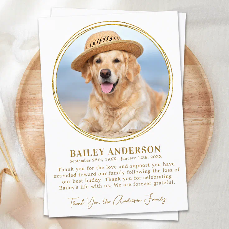 Pet Memorial Elegant Gold Custom Photo Sympathy Thank You Card Zazzle