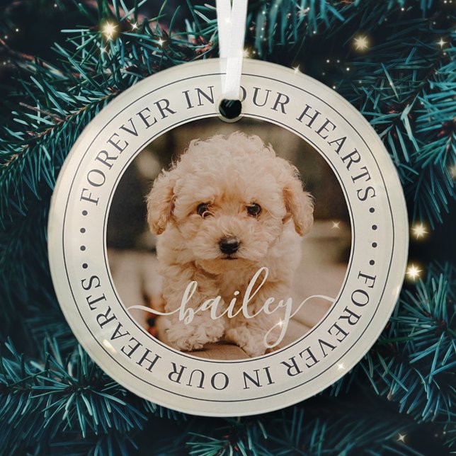 Pet Memorial Forever Hearts Elegant Chic Photo Glass Ornament (Creator Uploaded)