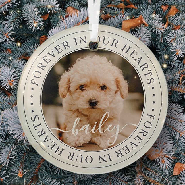 Pet Memorial Forever Hearts Elegant Chic Photo Glass Ornament (Creator Uploaded)
