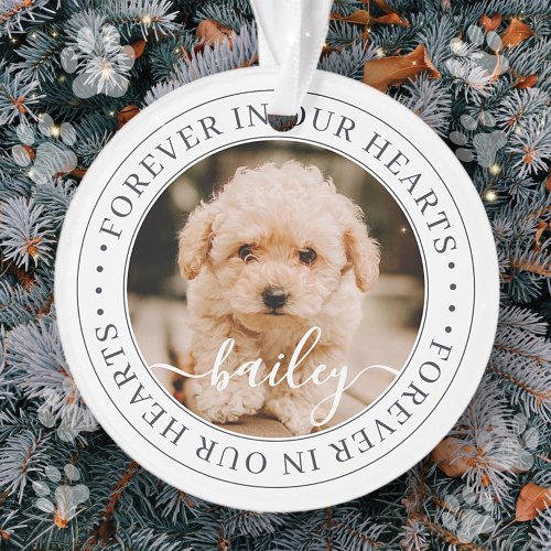 Pet Memorial Forever Hearts Elegant Chic Photo Ornament