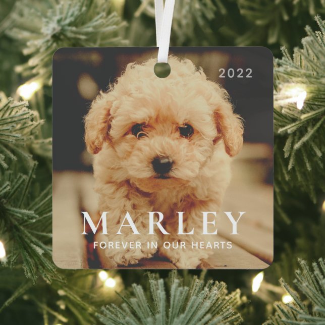 Pet Memorial Forever Hearts Simple Elegant Photo Metal Ornament (Insitu)
