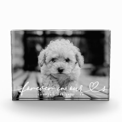 Pet Memorial Forever Hearts Simple Modern Photo Block