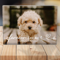 Pet Memorial Forever Hearts Simple Modern
