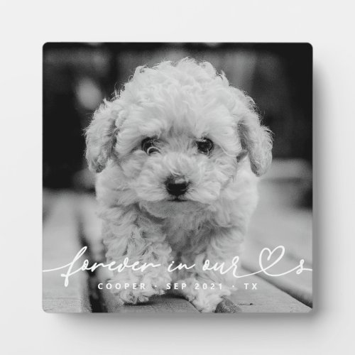 Pet Memorial Forever Hearts Simple Modern Photo Plaque