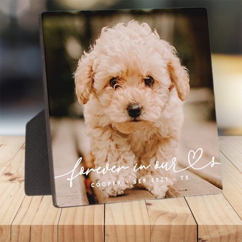 Pet Memorial Forever Hearts Simple Modern Photo Plaque