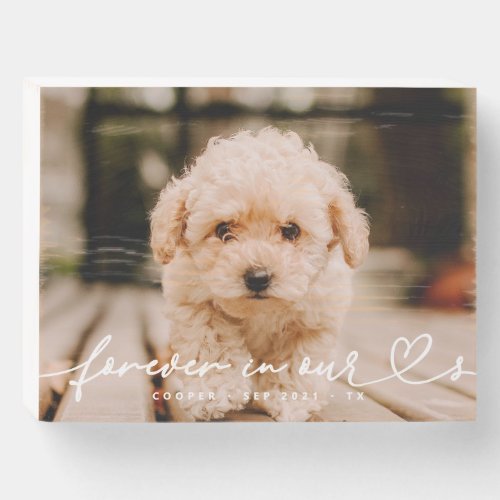 Pet Memorial Forever Hearts Simple Modern Photo Wooden Box Sign