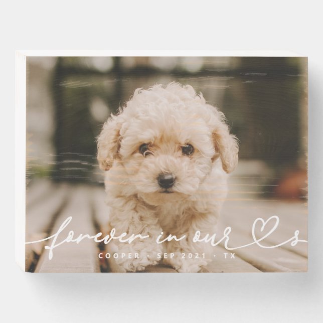Pet Memorial Forever Hearts Simple Modern Photo Wooden Box Sign (Front Horizontal)