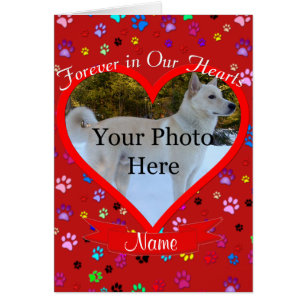 Pet Memorial Forever in Our Hearts