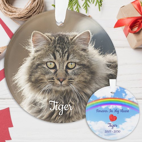 Pet Memorial Forever In Our Hearts Cat Photo Ornament