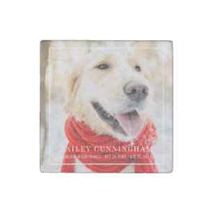 Pet Memorial Forever In Our Hearts Framed Photo Stone Magnet