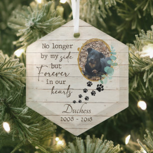 Pet Memorial Forever in Our Hearts Glass Ornament