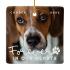 Pet Memorial Forever In Our Hearts Modern Photo