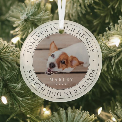 Pet Memorial Forever In Our Hearts Modern Photo Glass Ornament