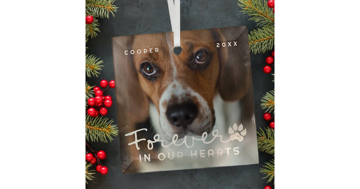 Pet Memorial Forever In Our Hearts Modern Photo Glass Ornament | Zazzle