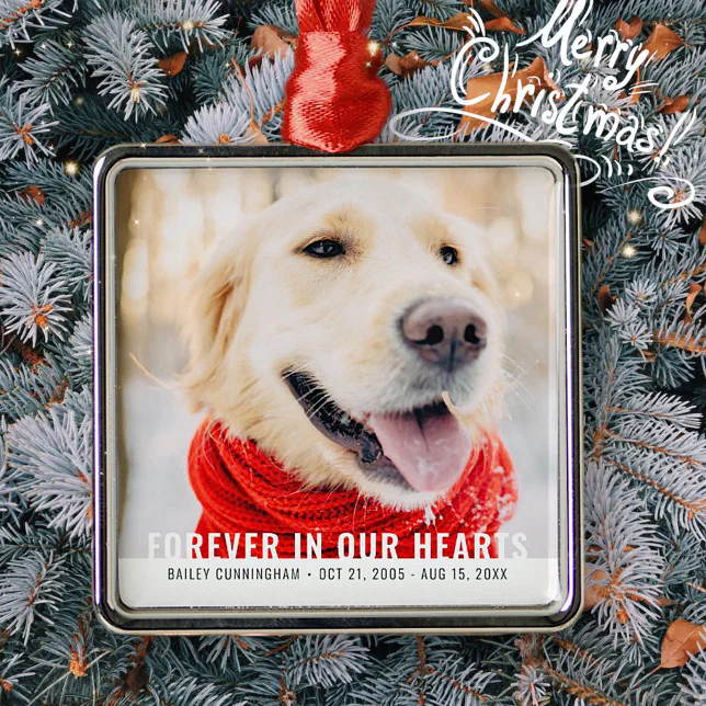 Pet Memorial Forever In Our Hearts Modern Photo Metal Ornament | Zazzle