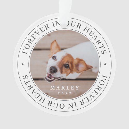 Pet Memorial Forever In Our Hearts Modern Photo Ornament
