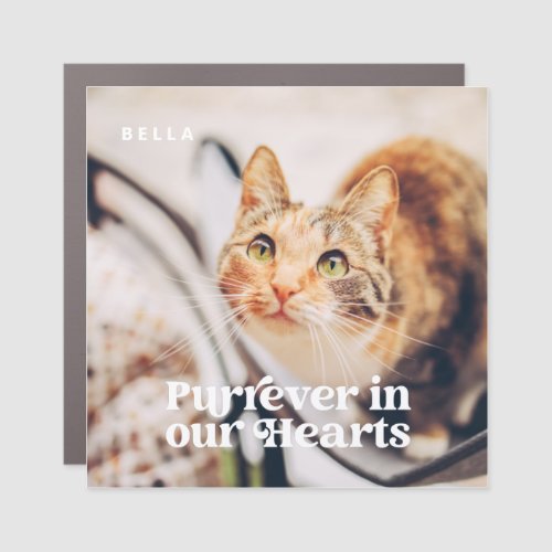 Pet Memorial Forever in our Hearts Simple Photo Car Magnet