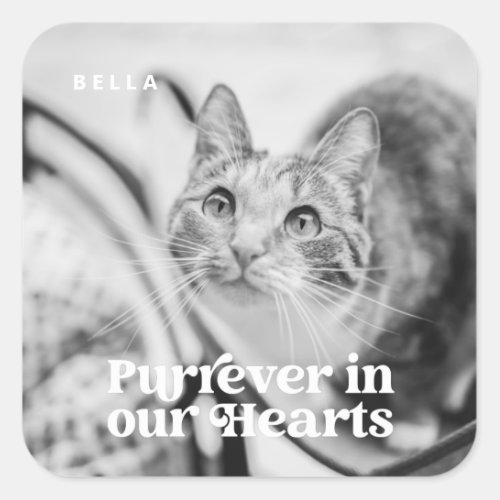 Pet Memorial Forever in our Hearts Simple Photo Square Sticker