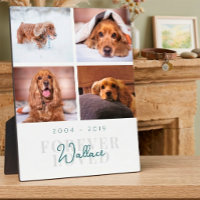 Pet Memorial Forever Loved Elegant 4 Photo Collage