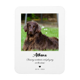 Pet Memorial Gift   In Loving Memory Magnet