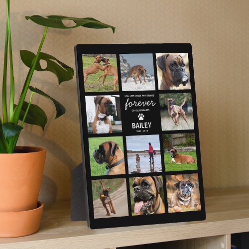 Pet Memorial Gift  In Loving Memory Photo Plaque