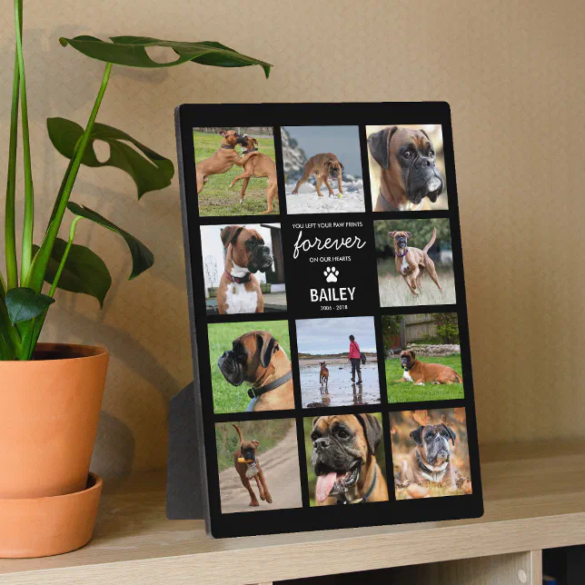 Pet Memorial Gift | In Loving Memory Photo Plaque | Zazzle