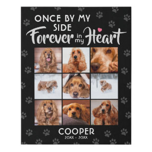 Pet Memorial Gift Paw Print Pattern Photo Collage