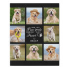 Pet Memorial Gift Personalized Pet Loss Keepsake