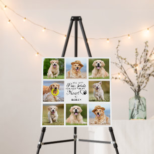 Pet Memorial Gift Pet Loss Keepsake Photo Collage Foam Board