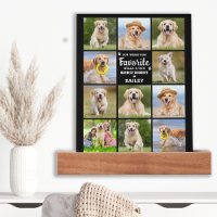 Pet Memorial Hardest Goodbye Dog 11 Photo Collage