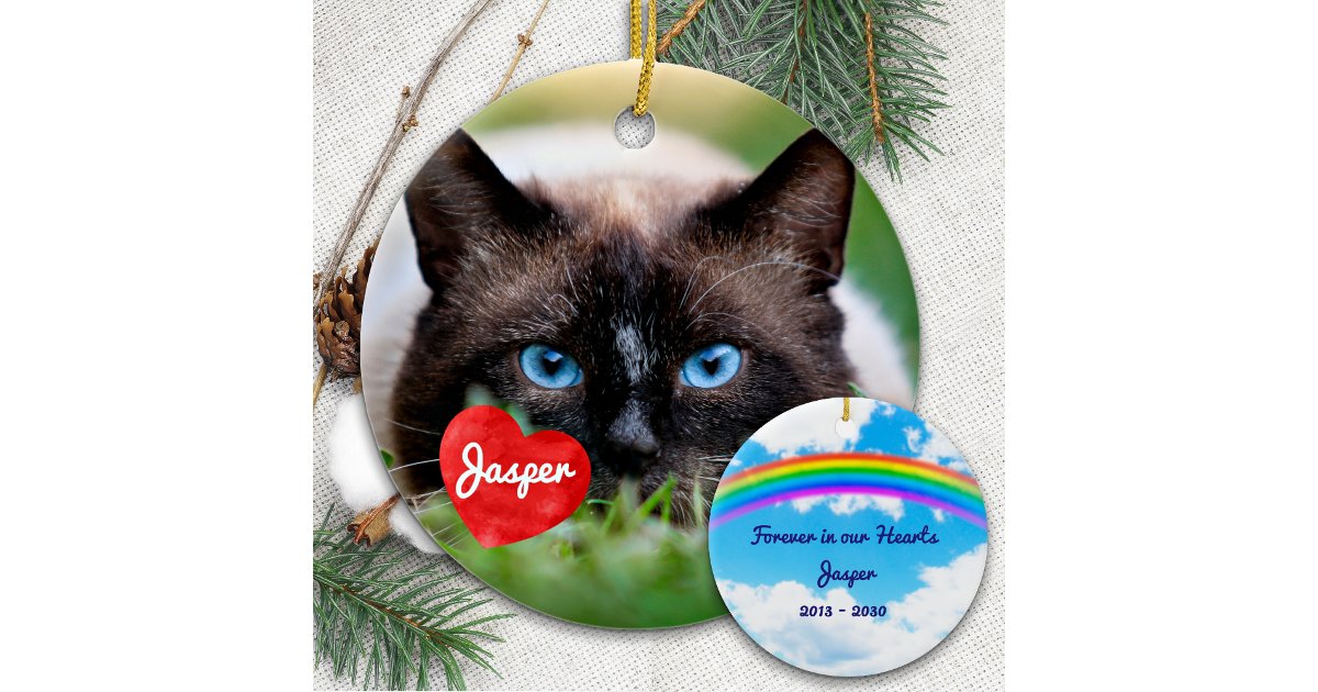 Pet Memorial In Loving Memory Cat Photo Ceramic Ornament | Zazzle