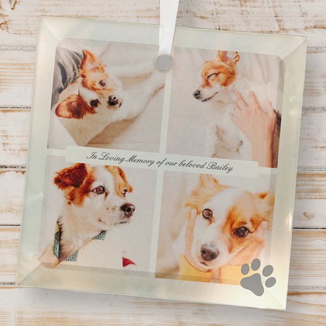 Pet Memorial In Loving Memory Modern Photos Glass Ornament (Creator Uploaded)