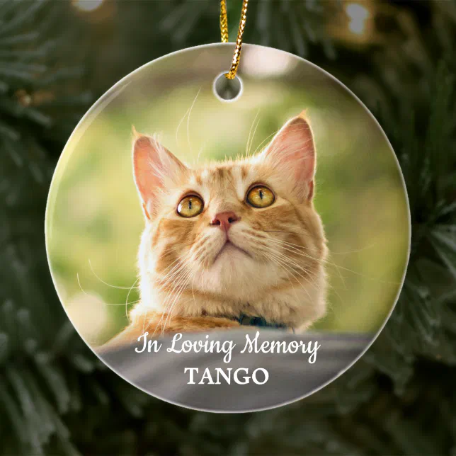 Pet Memorial In Loving Memory Simple Cat Photo Ceramic Ornament | Zazzle