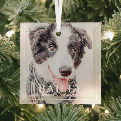 Pet Memorial Keepsake Forever In Our Hearts Photo Glass Ornament